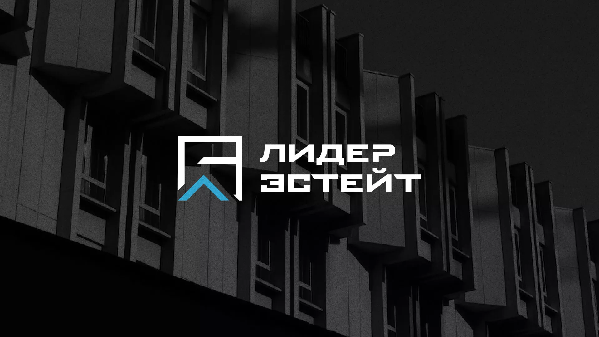 Разработка логотипа агентства недвижимости «Лидер Эстейт» в Ульяновске