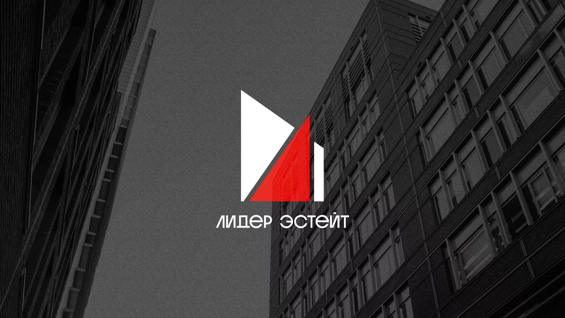 Сделали логотип для агентства недвижимости «Лидер Эстейт» в Ульяновске